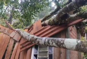 Temporal deixa ruas alagadas, derruba árvores e causa estragos em Curitiba e região; veja como fica o tempo nesta terça (1º)