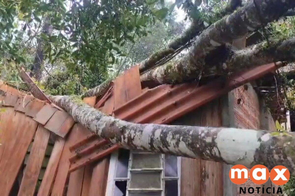 Temporal deixa ruas alagadas, derruba árvores e causa estragos em Curitiba e região; veja como fica o tempo nesta terça (1º)