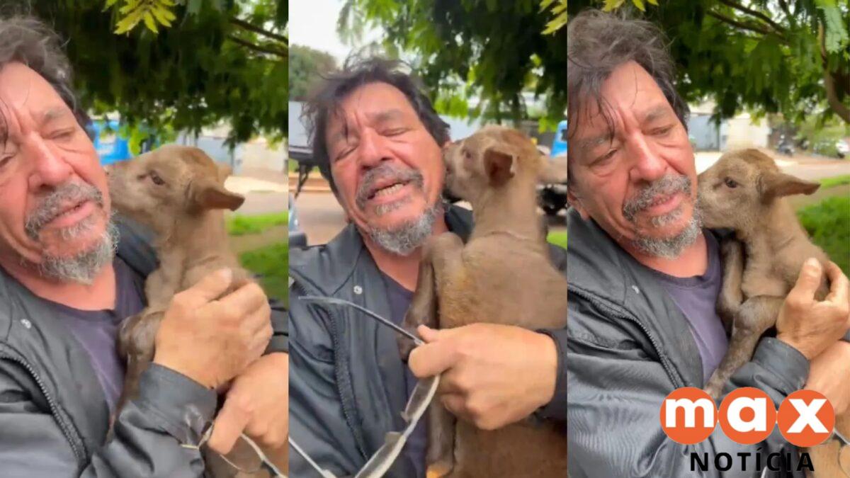 Filhote de cabra levado por motoboy no Paraná é reencontrado