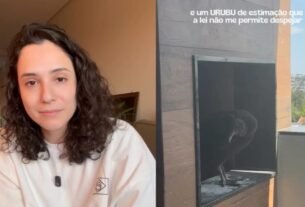 Vídeo: moradora volta de viagem, encontra ninho de urubu na churrasqueira e descobre que não pode 'expulsá-lo' do apartamento