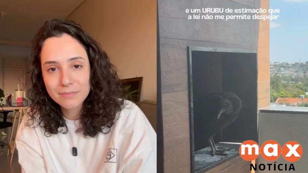 Vídeo: moradora volta de viagem, encontra ninho de urubu na churrasqueira e descobre que não pode 'expulsá-lo' do apartamento