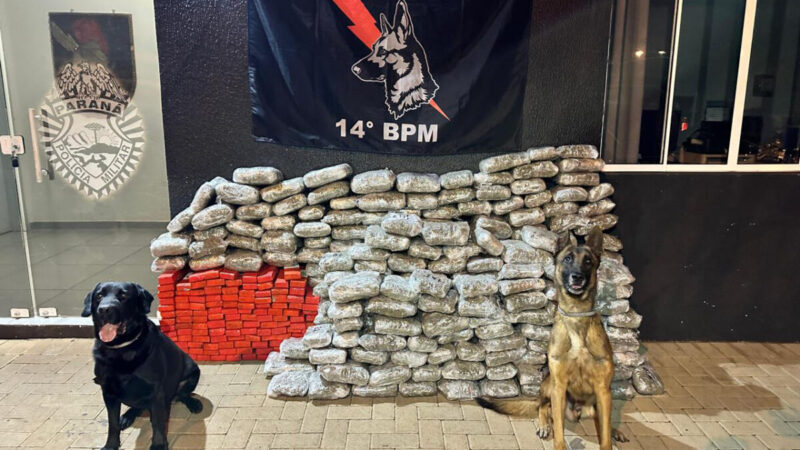 Apreensões de maconha disparam 228% na fronteira do Paraná