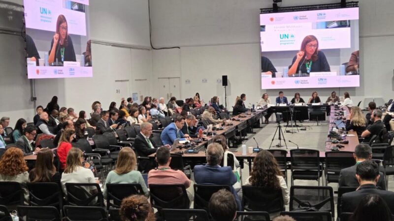 BRDE leva modelo paranaense de créditos de biodiversidade à COP17