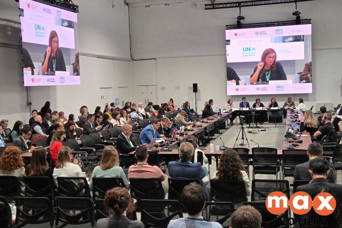 BRDE leva modelo paranaense de créditos de biodiversidade à COP17