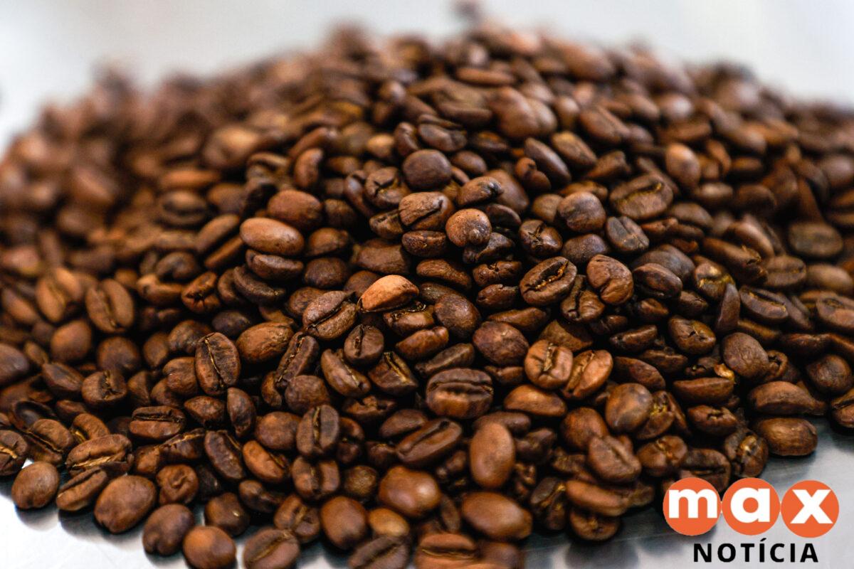 Soja em alta e café mais barato: veja os dados do Deral