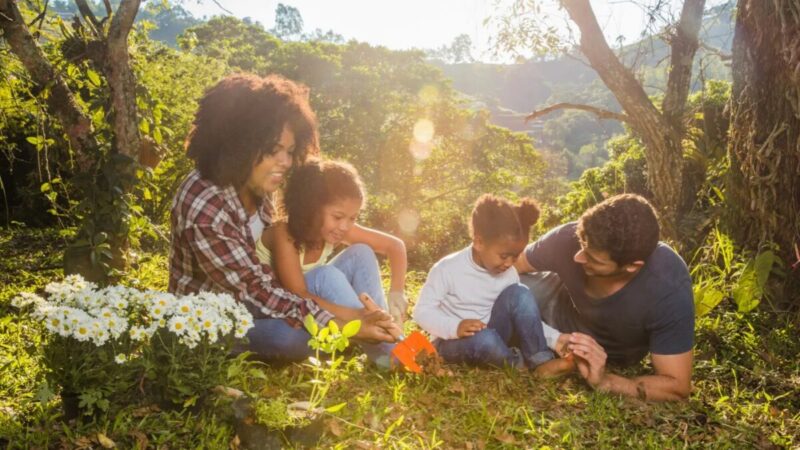 Como se proteger de mosquitos nos passeios de primavera