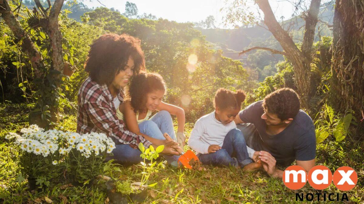 Como se proteger de mosquitos nos passeios de primavera