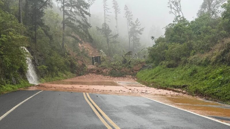 Rodovias do Paraná passam por limpeza após chuvas intensas