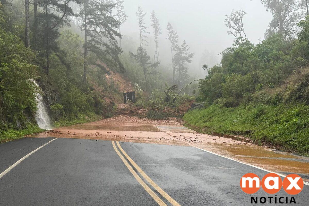 Rodovias do Paraná passam por limpeza após chuvas intensas