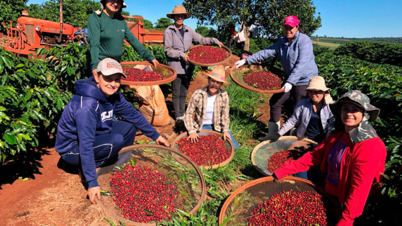 Feira em Curitiba destaca força da mulher na agroindústria