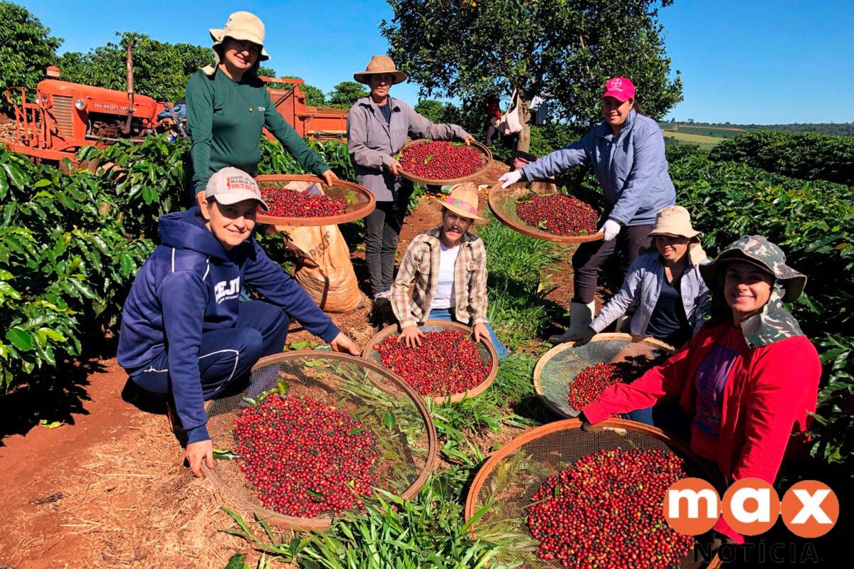 Feira em Curitiba destaca força da mulher na agroindústria