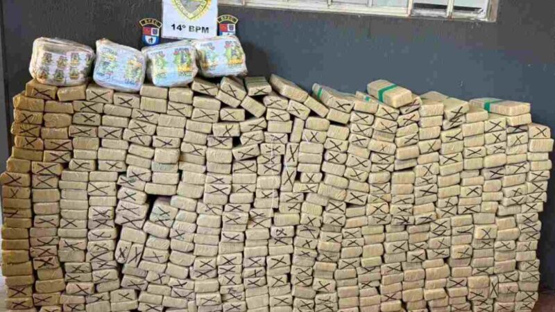 Apreensões de maconha na fronteira do Paraná disparam 228%