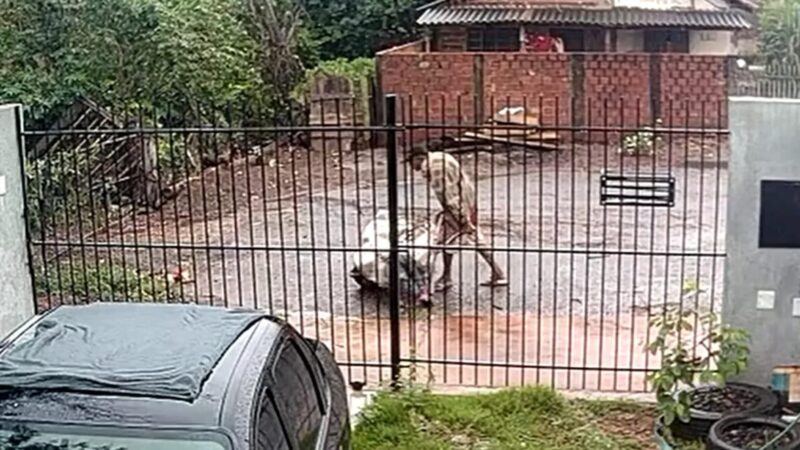 Homem é preso após carregar esposa em saco de cal no Paraná
