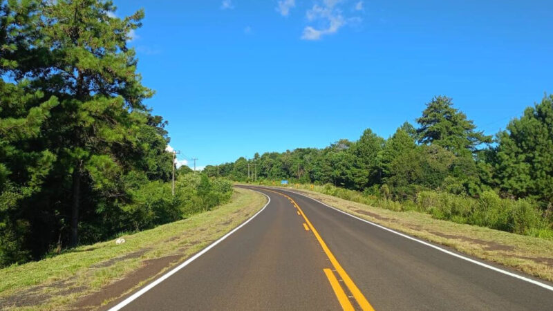 Rodovias do Paraná: R$ 1 bi reduzem acidentes e mortes
