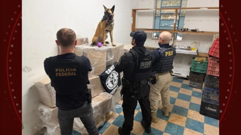 Prisão em Guarapuava: quase 1 tonelada de droga é achada em caminhão