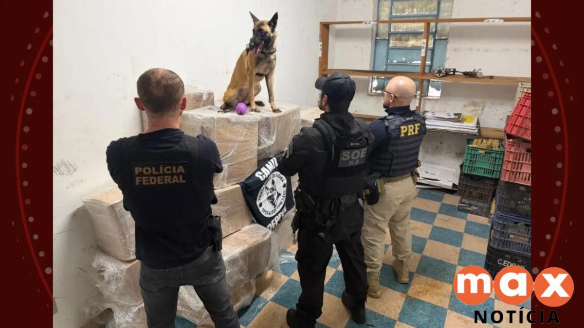 Prisão em Guarapuava: quase 1 tonelada de droga é achada em caminhão