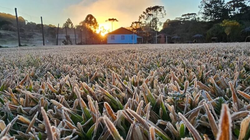 Paraná registra frio intenso de 2,3ºC em outubro com geada