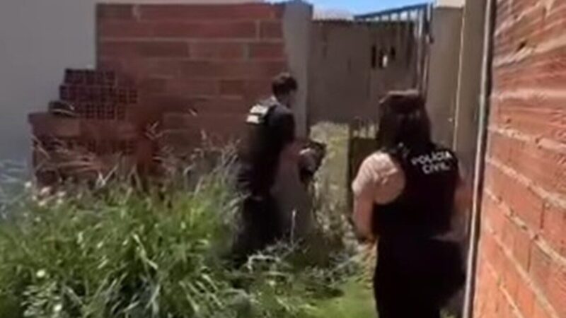PCGO resgata cão esquelético e prende dois por maus-tratos