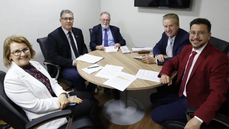 Alep aprova projetos de saúde e campanha gestacional no PR