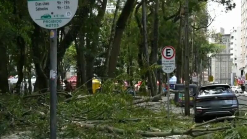 Novo galho cai em praça de Curitiba 4 meses após caso grave