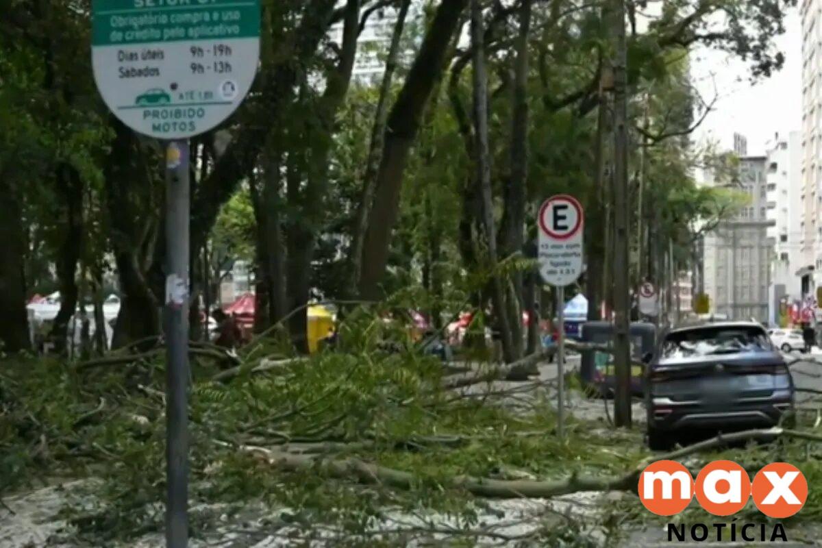 Novo galho cai em praça de Curitiba 4 meses após caso grave