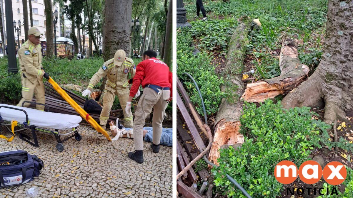 Queda de galho na Praça Osório fere homem em Curitiba