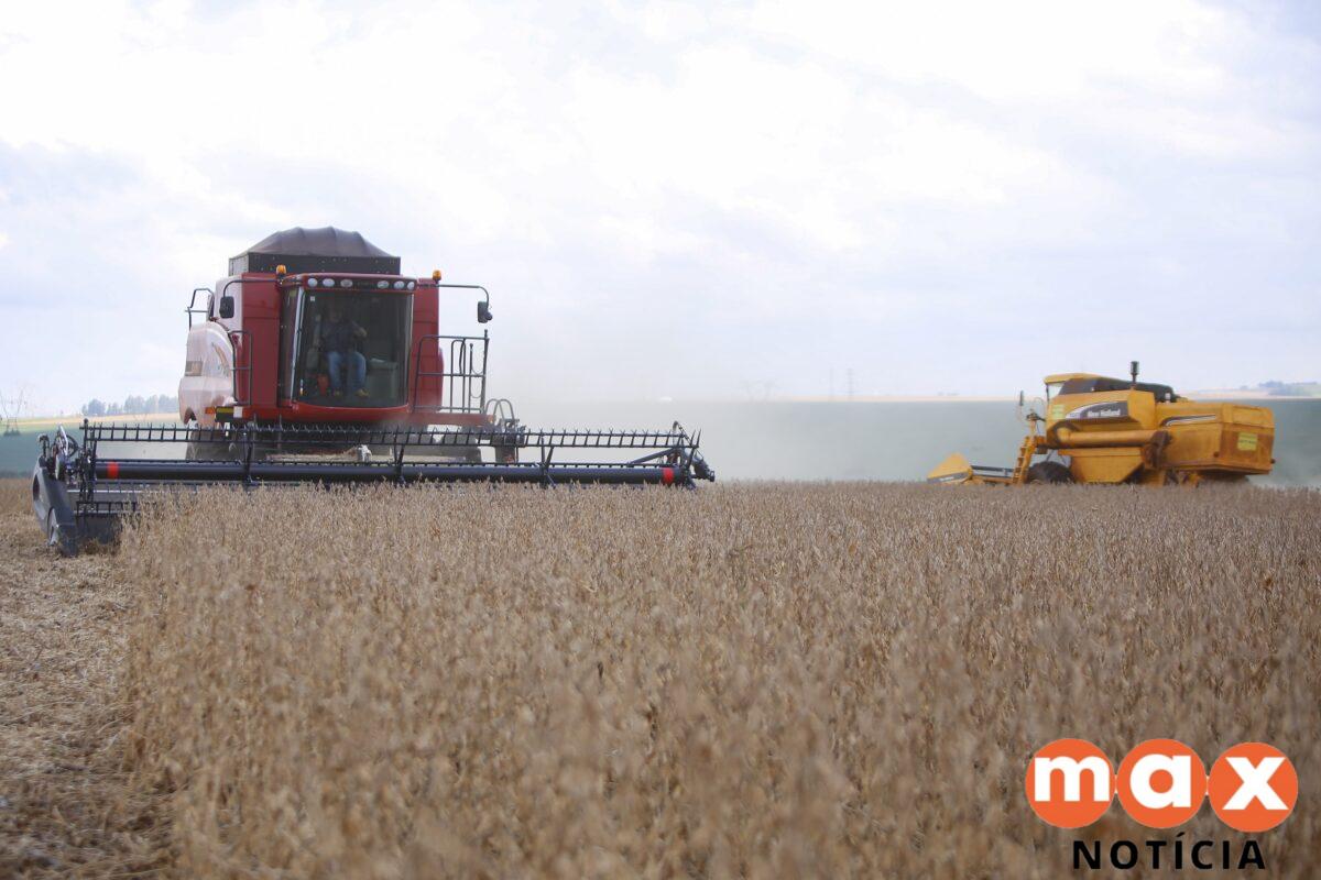 Safra de soja no Paraná Pode Crescer 4% em Novo Ciclo