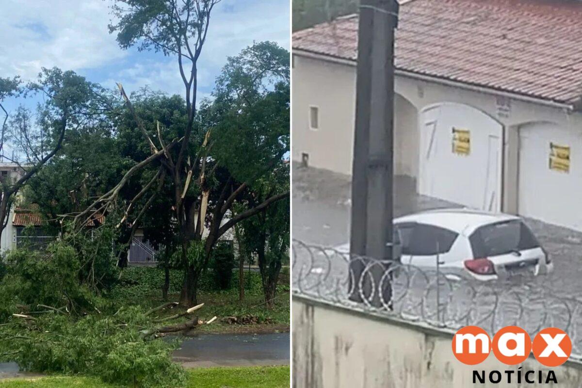 Temporal causa estragos, alaga ruas e derruba muros em cidade de MG
