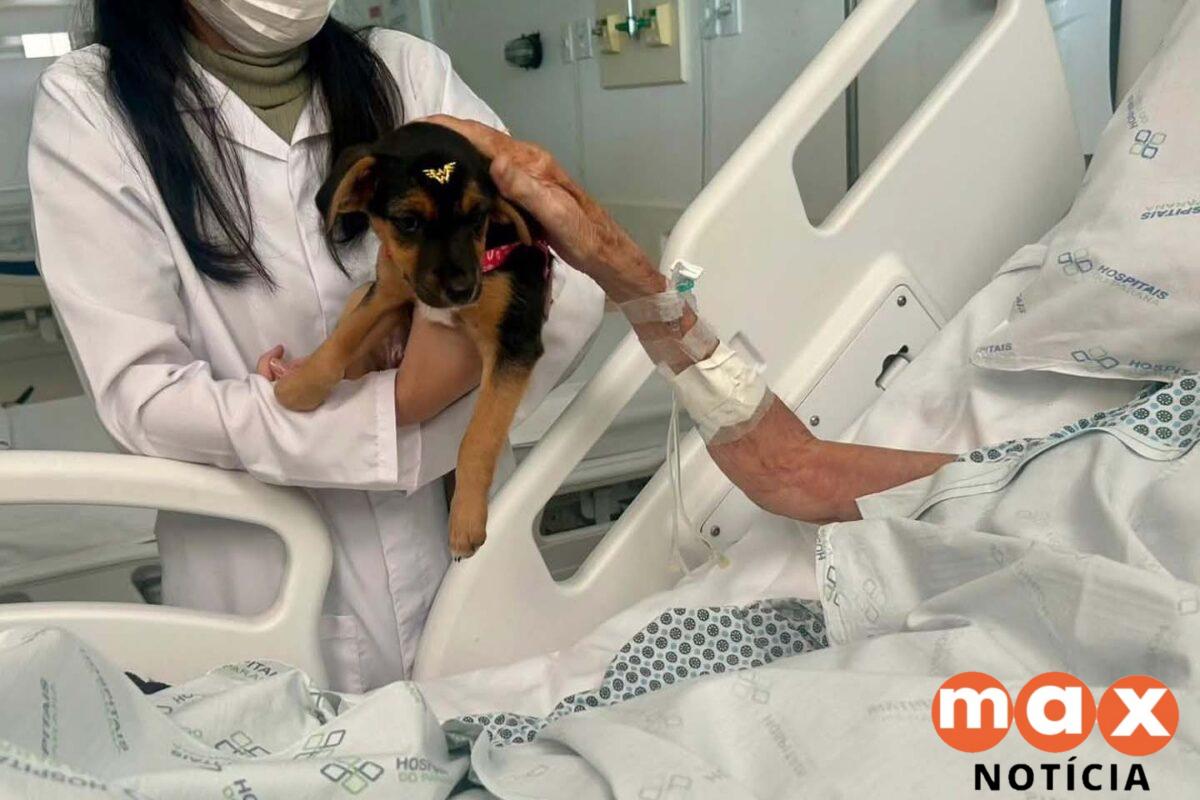 Hospital Zona Norte de Londrina celebra 10 anos de cuidados paliativos