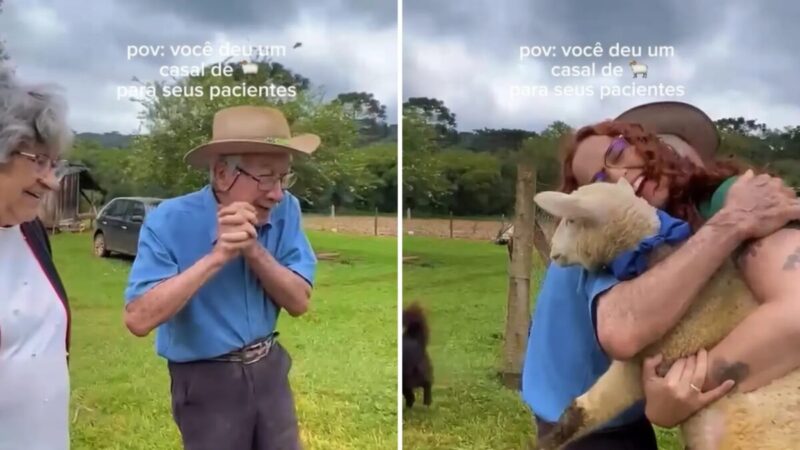 Fisioterapeuta surpreende idoso com carneirinhos no PR